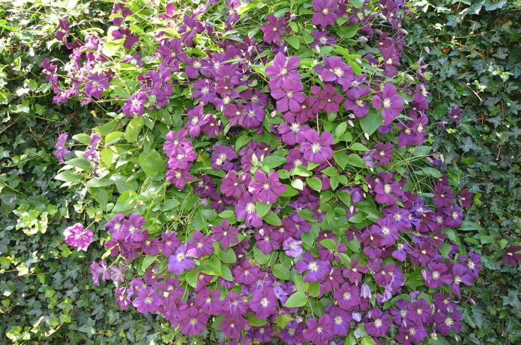 Bloemenhoeve Bed & Breakfast Birdaard Екстериор снимка